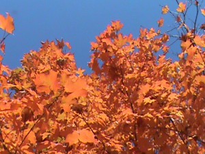 Prayer Center in Fall
