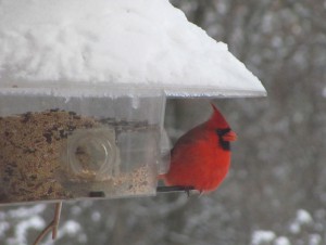Prayer Center in Winter