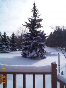 Prayer Center in Winter