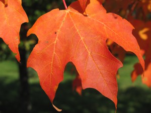 Prayer Center in Fall