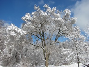 Prayer Center in Winter
