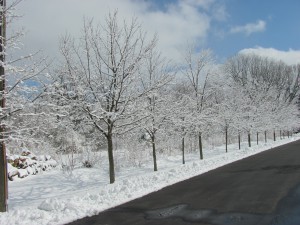 Prayer Center in Winter