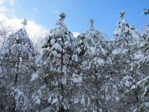 Prayer Center in Winter