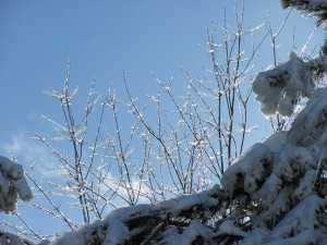Prayer Center in Winter