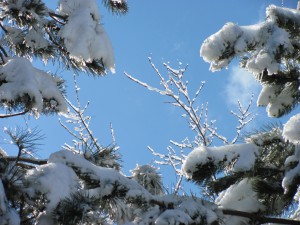Prayer Center in Winter