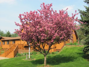 Prayer Center in Spring