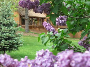 Prayer Center in Spring