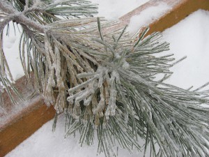 Prayer Center in Winter