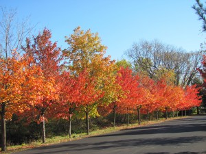 Prayer Center in Fall