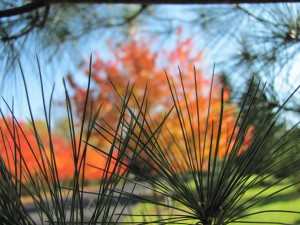 Prayer Center in Fall