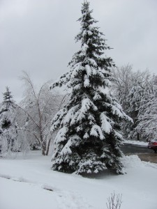 Prayer Center in Winter
