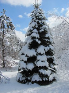 Prayer Center in Winter
