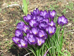 Prayer Center in Spring