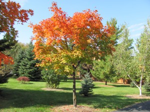 Prayer Center in Fall