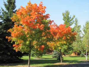 Prayer Center in Fall