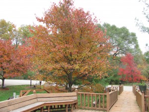 Prayer Center in Fall