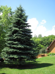 Prayer Center in Summer